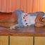 W.-Dittbrenner-IMG_7764.JPG